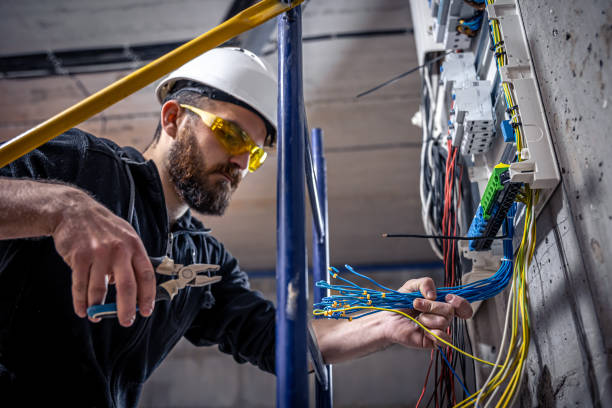 Best Electrical System Inspection  in Mapleton, IA